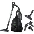Aspirateur Traîneau avec Sac Electrolux Pure D8 Green PD82