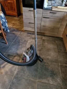 image client 2 Aspirateur Traineau Electrolux Animal 600 EL61A4UG