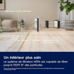 Image du fabricant 10 du Electrolux Animal 500 aspirateur gris