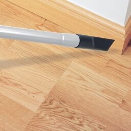 Image du fabricant 10 du Hoover Telios Extra aspirateur traineau