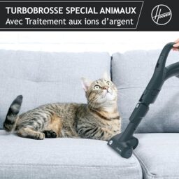 Image du fabricant 5 du Hoover H-Power HP730ALG aspirateur compact