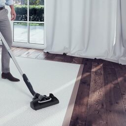 Image du fabricant 6 du Electrolux UltraOne aspirateur noir