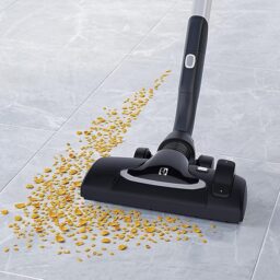 Image du fabricant 8 du Electrolux UltraOne aspirateur noir