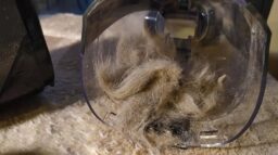 image client 10 Aspirateur Portable sans fil Bissell Pet Hair Eraser 2278N