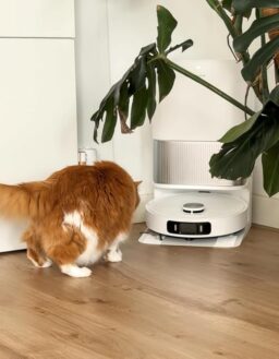 image client 6 Robot Aspirateur Dreame L40 Ultra AE
