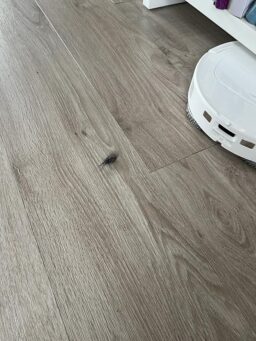 image client 9 Aspirateur Robot Laveur Roborock QV 35A Set
