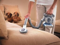 Image du fabricant 5 du BLACK+DECKER dustbuster Flexi pet
